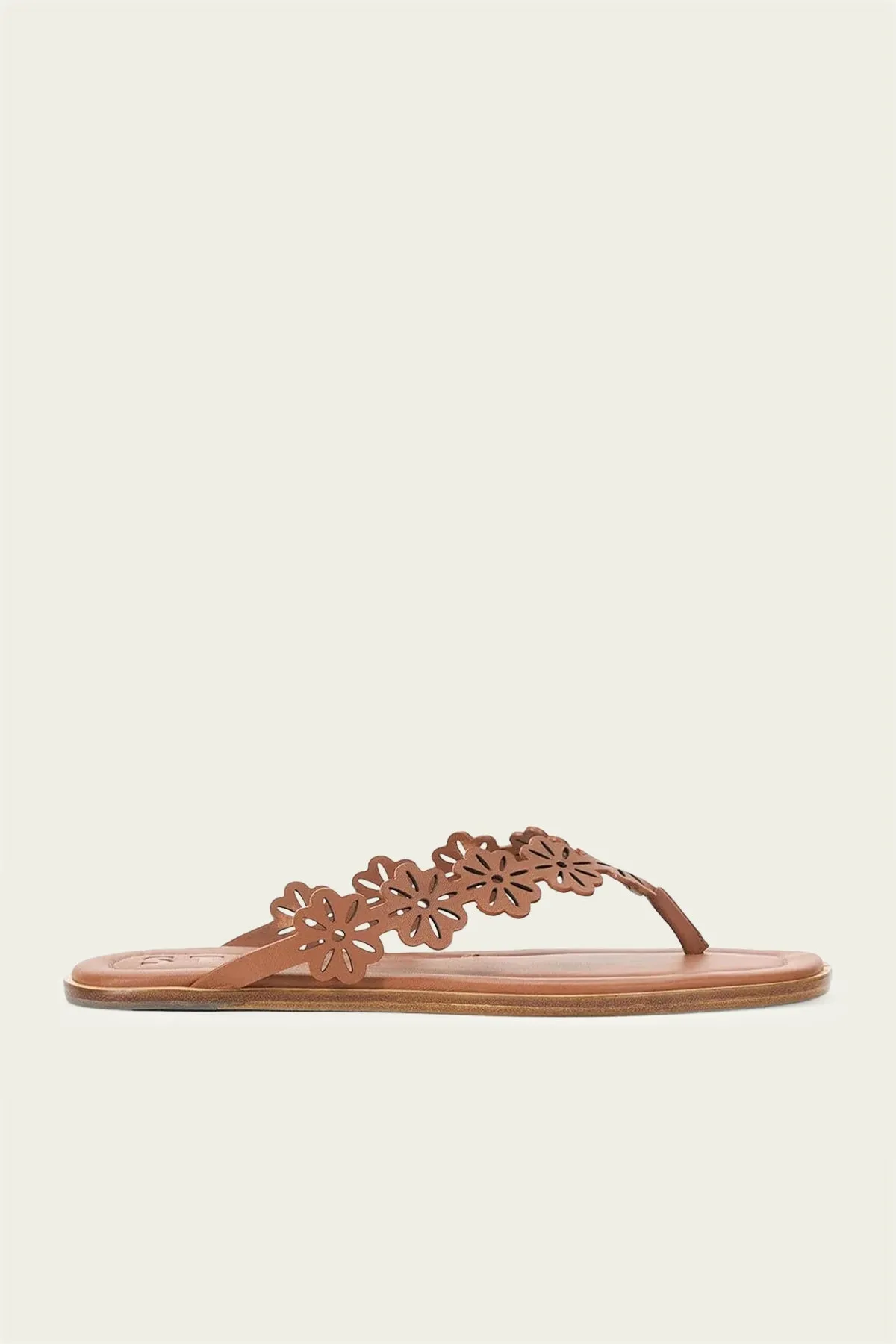 Dante Floral Thong Slide in Tan
