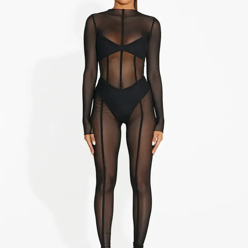 Taylor Sheer Mesh Long Sleeve Bodycon Jumpsuit