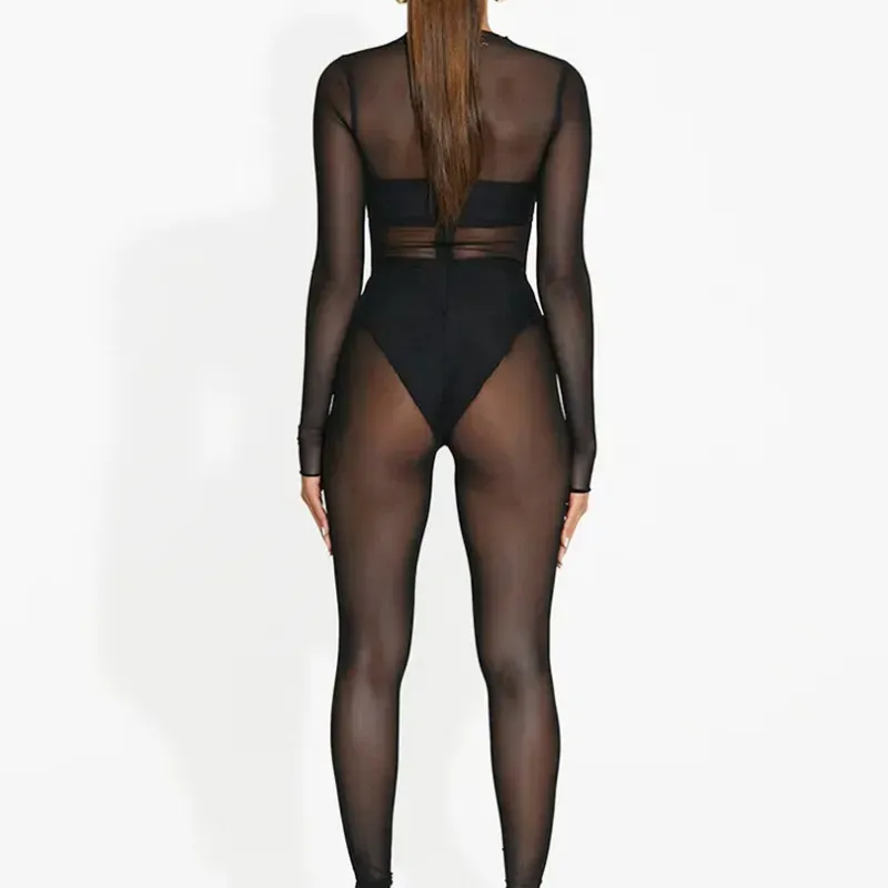 Taylor Sheer Mesh Long Sleeve Bodycon Jumpsuit